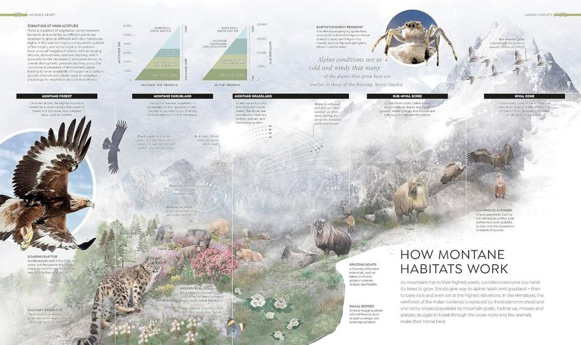 Книга Habitats изображение 7