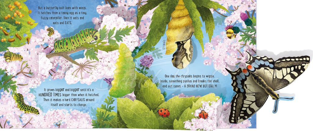 Книга Pop-Up Butterflies зображення 3