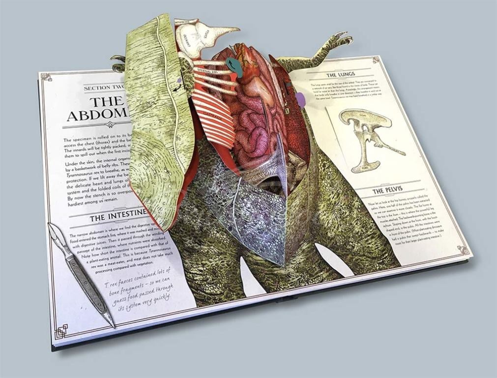 Книга Tyrannosaurus Rex: A Pop-Up Guide to Anatomy изображение 1