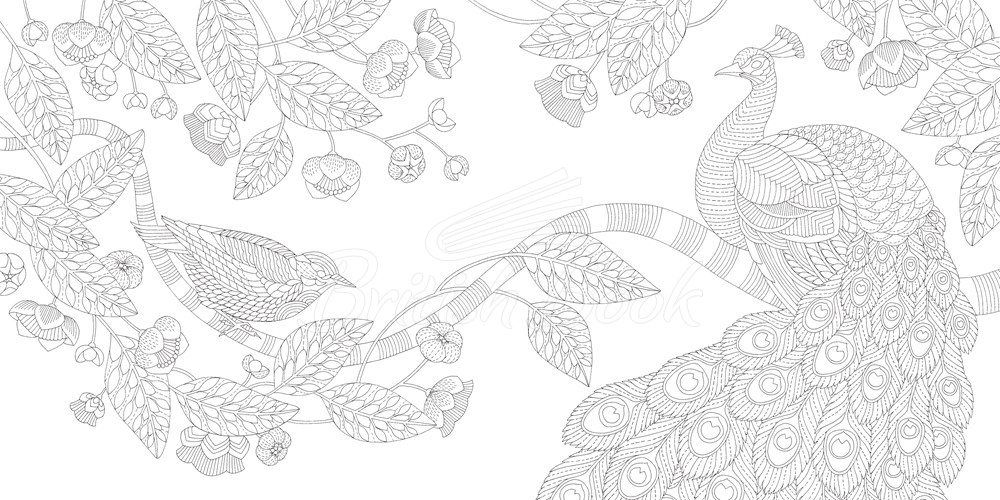 Книга Millie Marotta's Woodland Wild изображение 2
