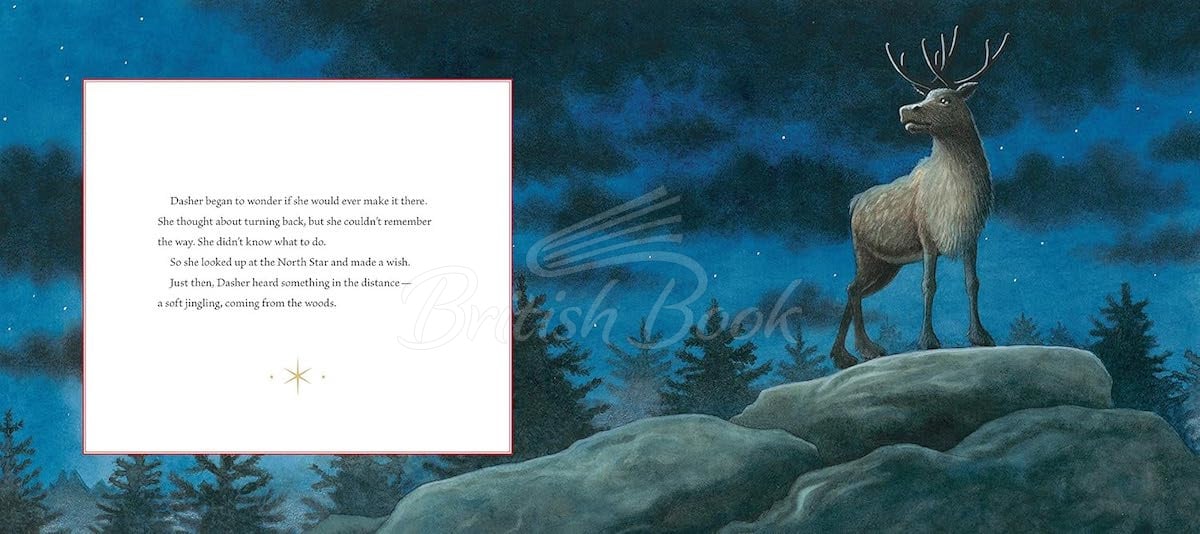 Книга Dasher изображение 1
