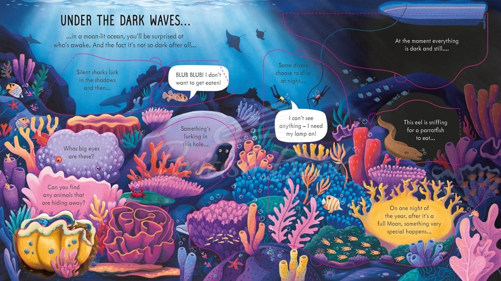 Книга Look inside Night Time зображення 3
