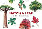 Match a Leaf: A Memory Game