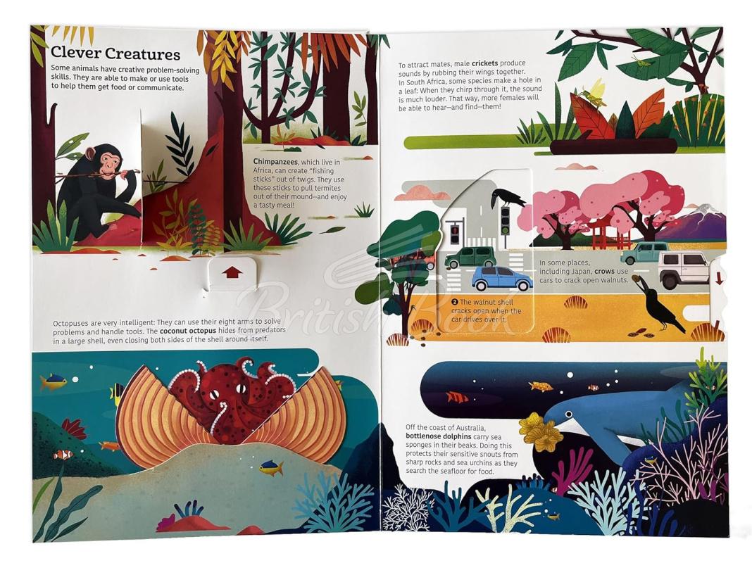 Книга Ultimate Spotlight: Extraordinary Animals зображення 2