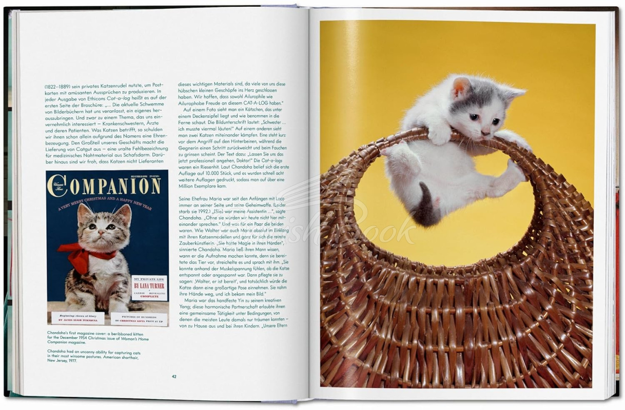 Книга Walter Chandoha. Cats. Photographs 1942–2018 зображення 5