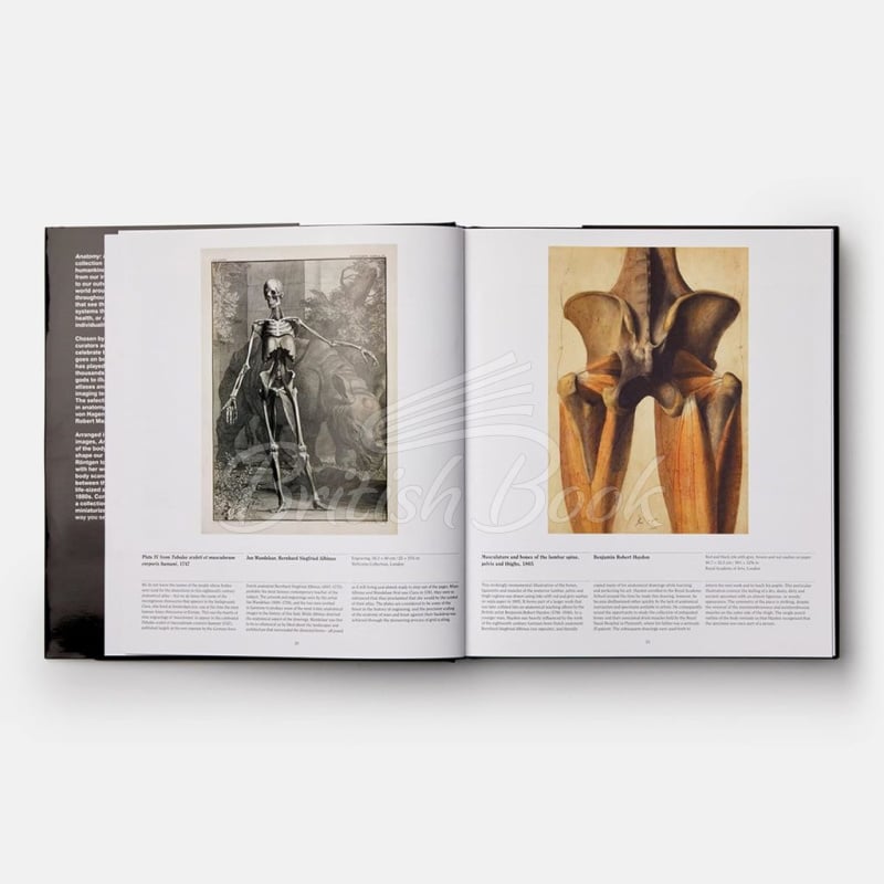 Книга Anatomy: Exploring the Human Body зображення 3