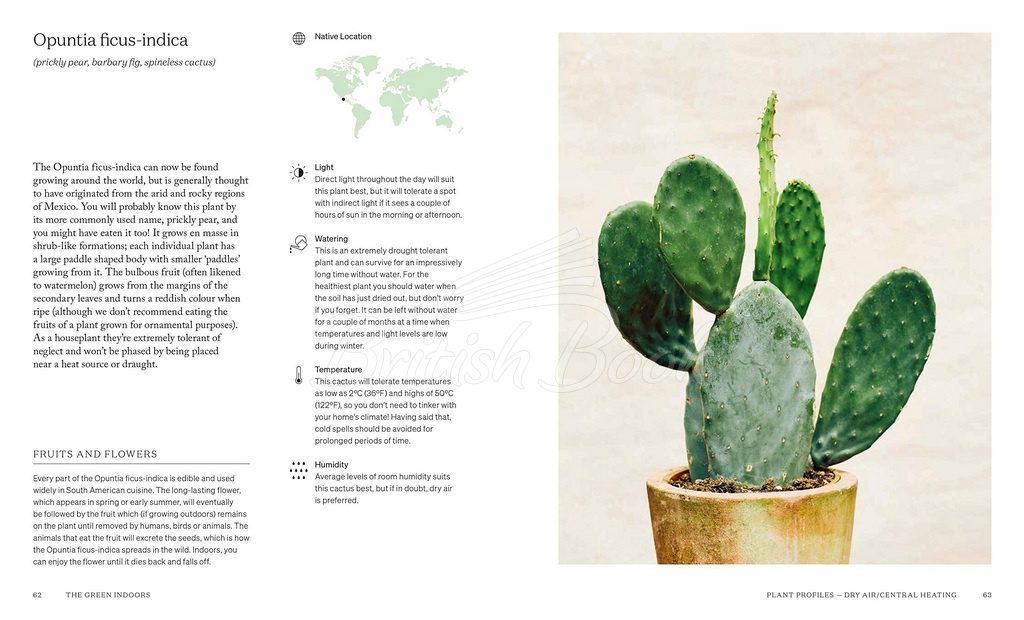 Книга The Green Indoors: Finding the Right Plants for Your Home Environment изображение 8