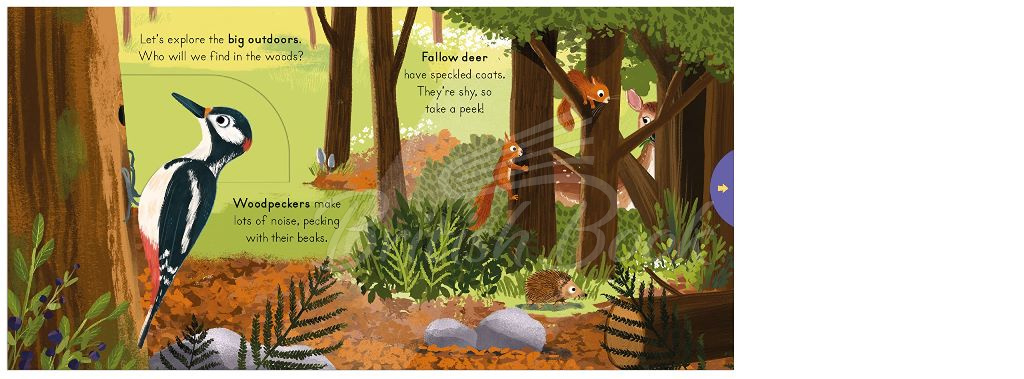 Книга Big Outdoors for Little Explorers: Woods зображення 4