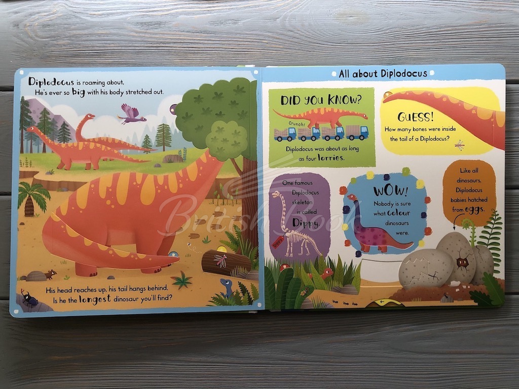 Книга First Facts and Flaps: Giant Dinosaurs изображение 3