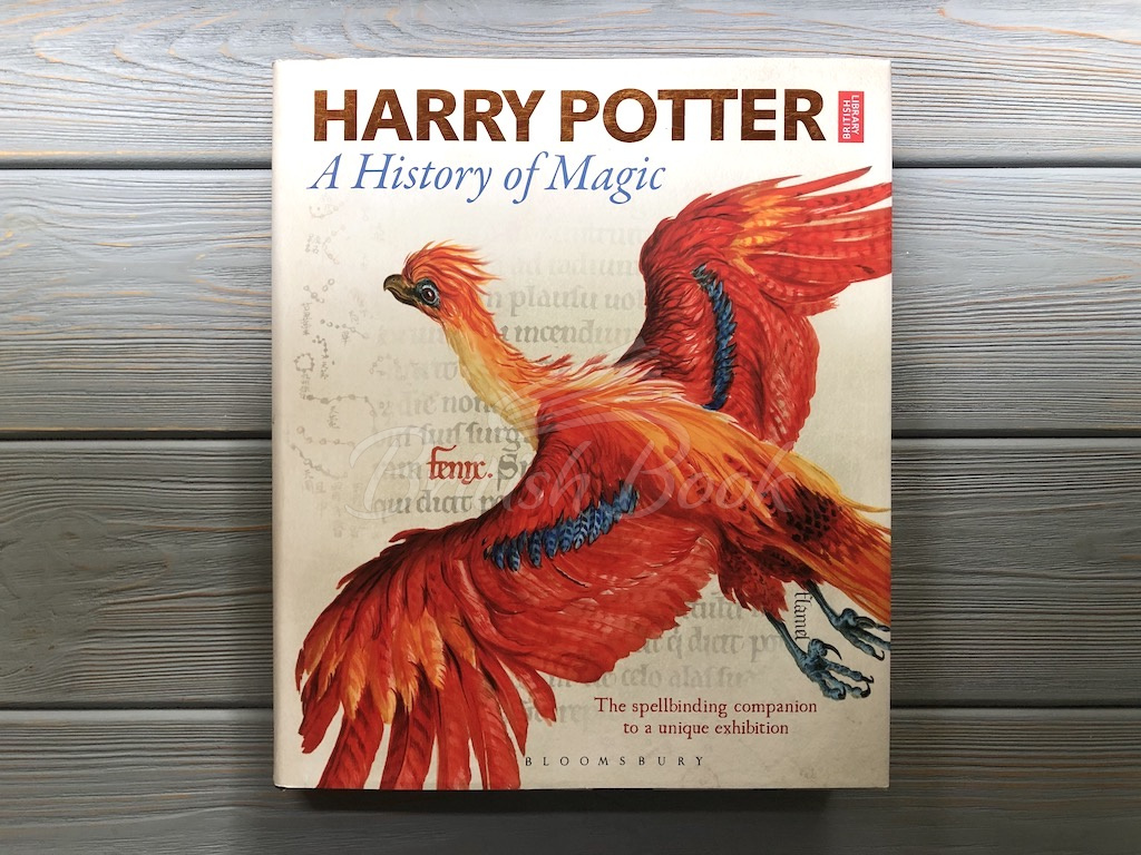 Книга Harry Potter: A History of Magic – The Book of the Exhibition зображення 1