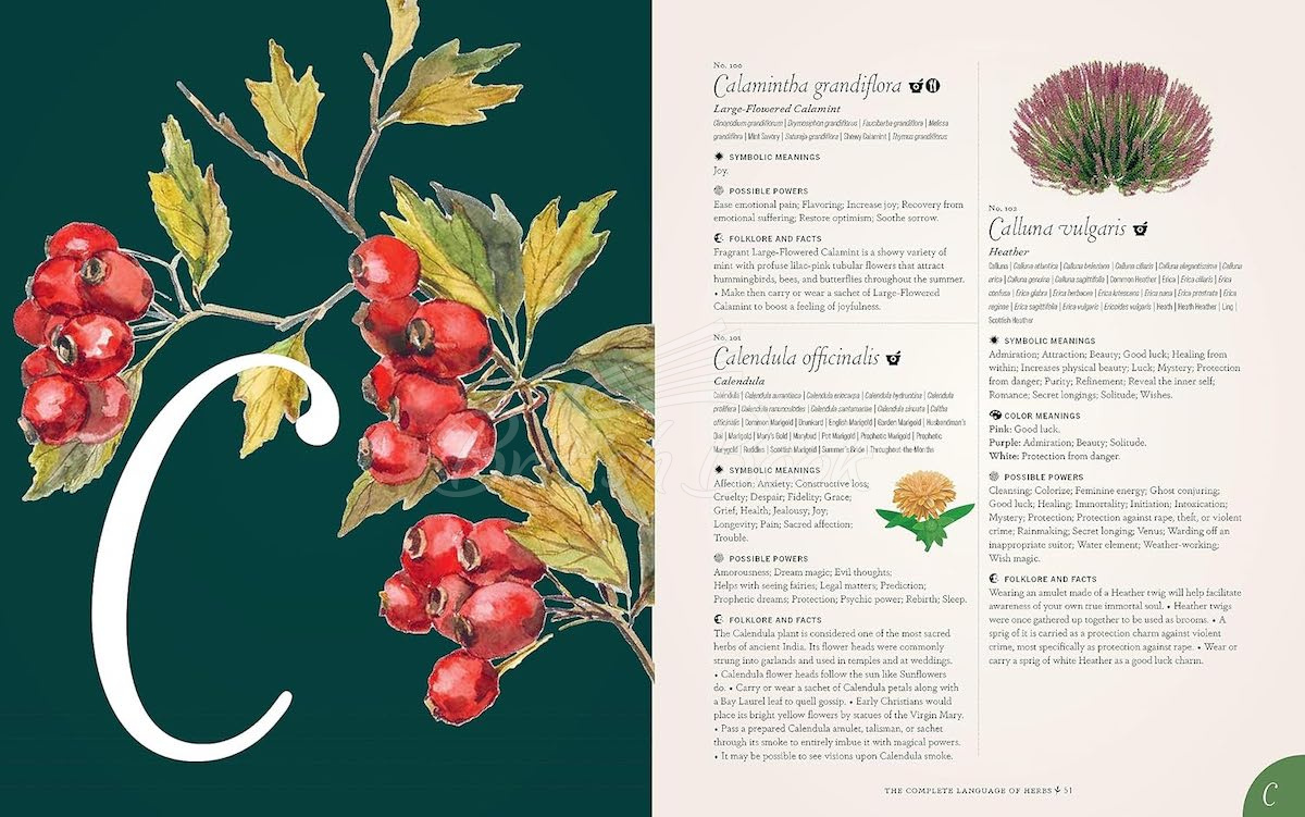 Книга The Complete Language of Herbs (Pocket Edition) изображение 1