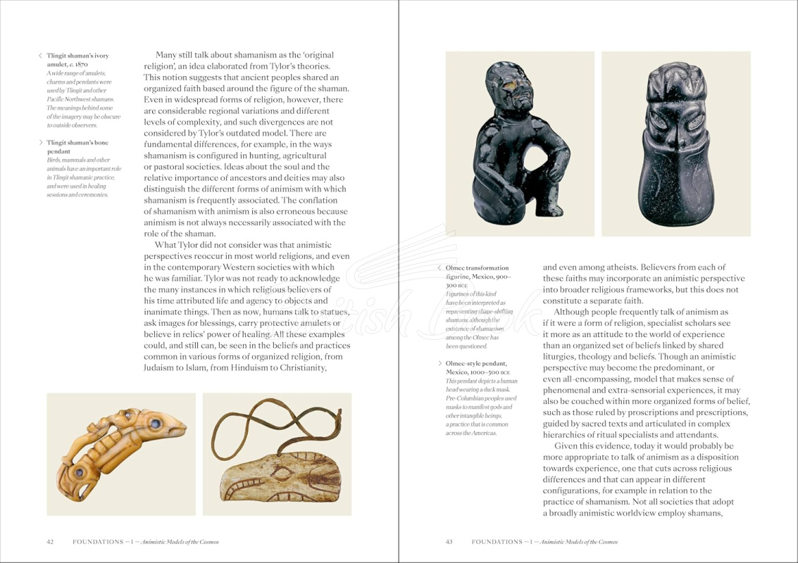 Книга Shamans: The Visual Culture of Animism, Healing and Journeys to Other Planes изображение 6
