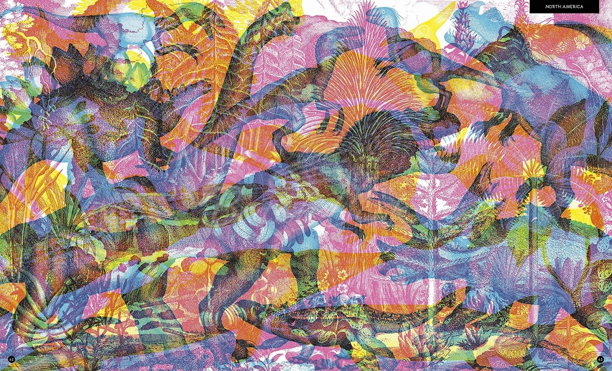 Книга Illumisaurus зображення 2