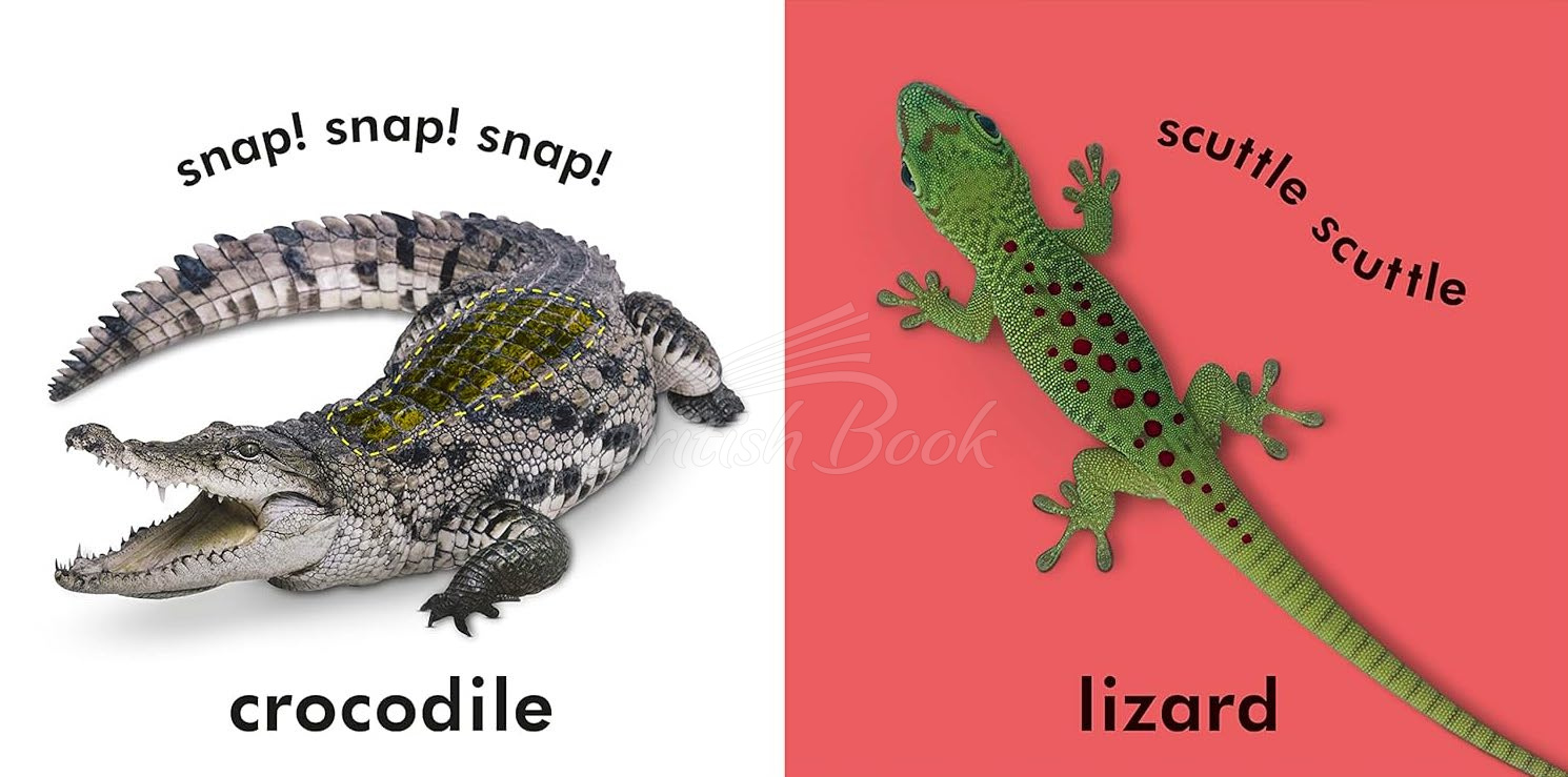 Книга Baby Touch and Feel Wild Animals изображение 2
