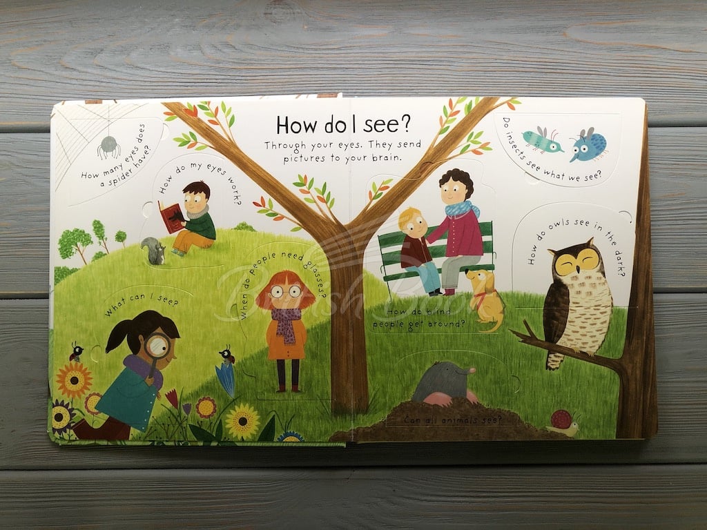 Книга Lift-the-Flap First Questions and Answers: How Do I See? изображение 3