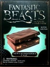 Fantastic Beasts and Where to Find Them: Newt Scamander's Case