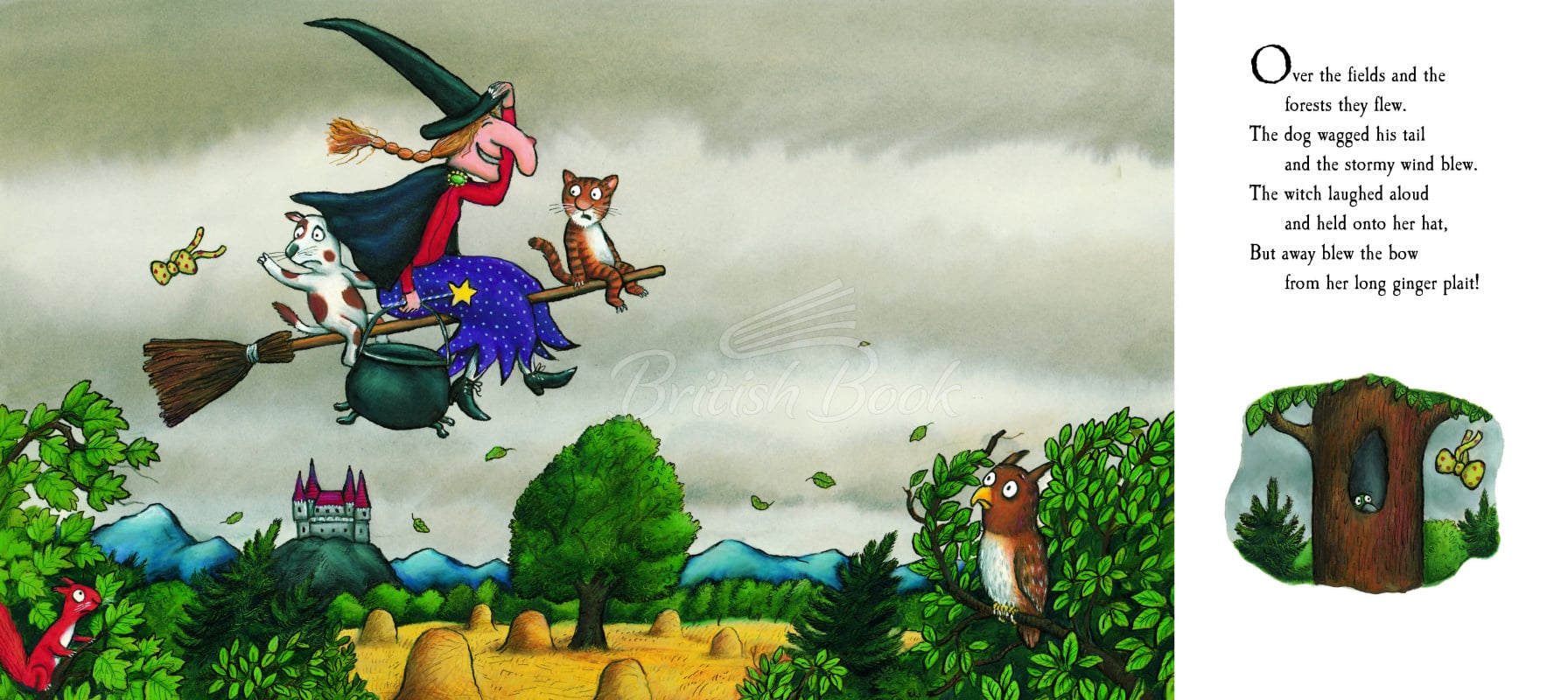 Книга Room on the Broom зображення 8