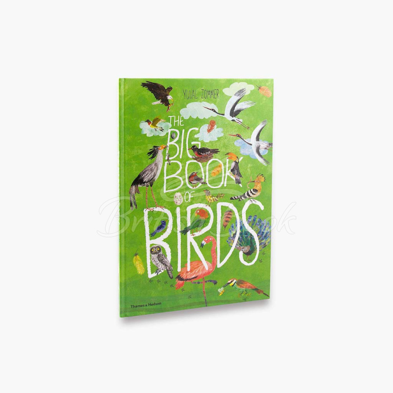 Книга The Big Book of Birds зображення 1