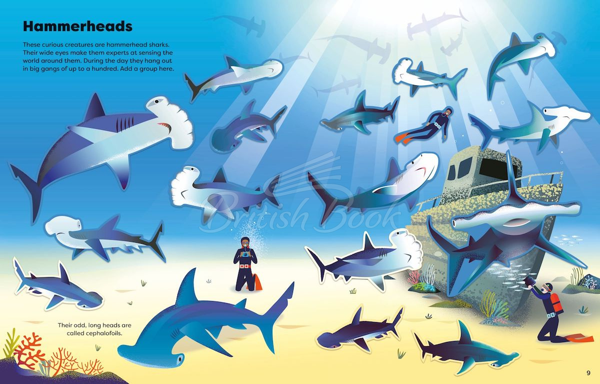 Книга Big Sticker Book of Sharks зображення 4