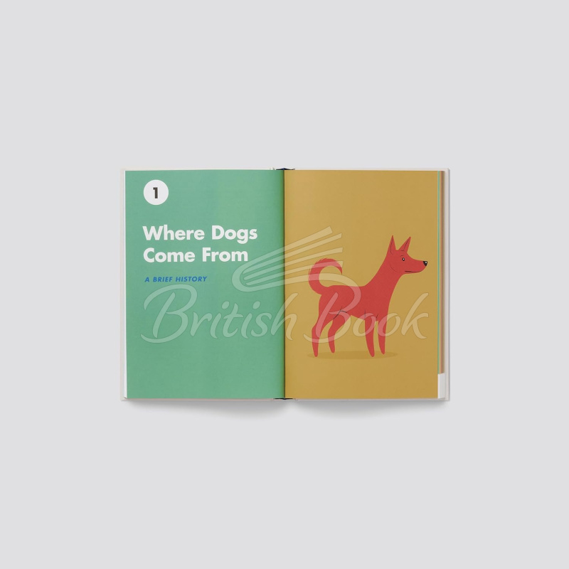Книга Dogs of the World: An Illustrated Compendium изображение 1