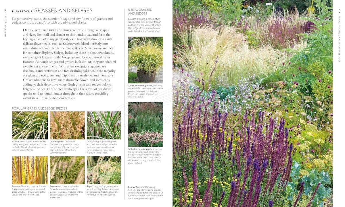 Книга RHS What Plant Where Encyclopedia изображение 6