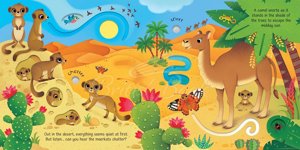 Книга Wild Animals Sound Book изображение 3