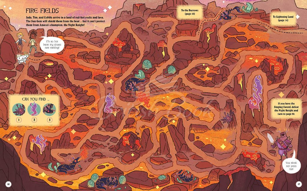 Книга Maze Quest изображение 1