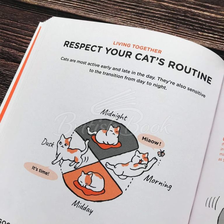 Книга What Cats Want: An Illustrated Guide for Truly Understanding Your Cat изображение 4