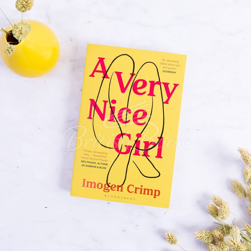 Книга A Very Nice Girl изображение 1