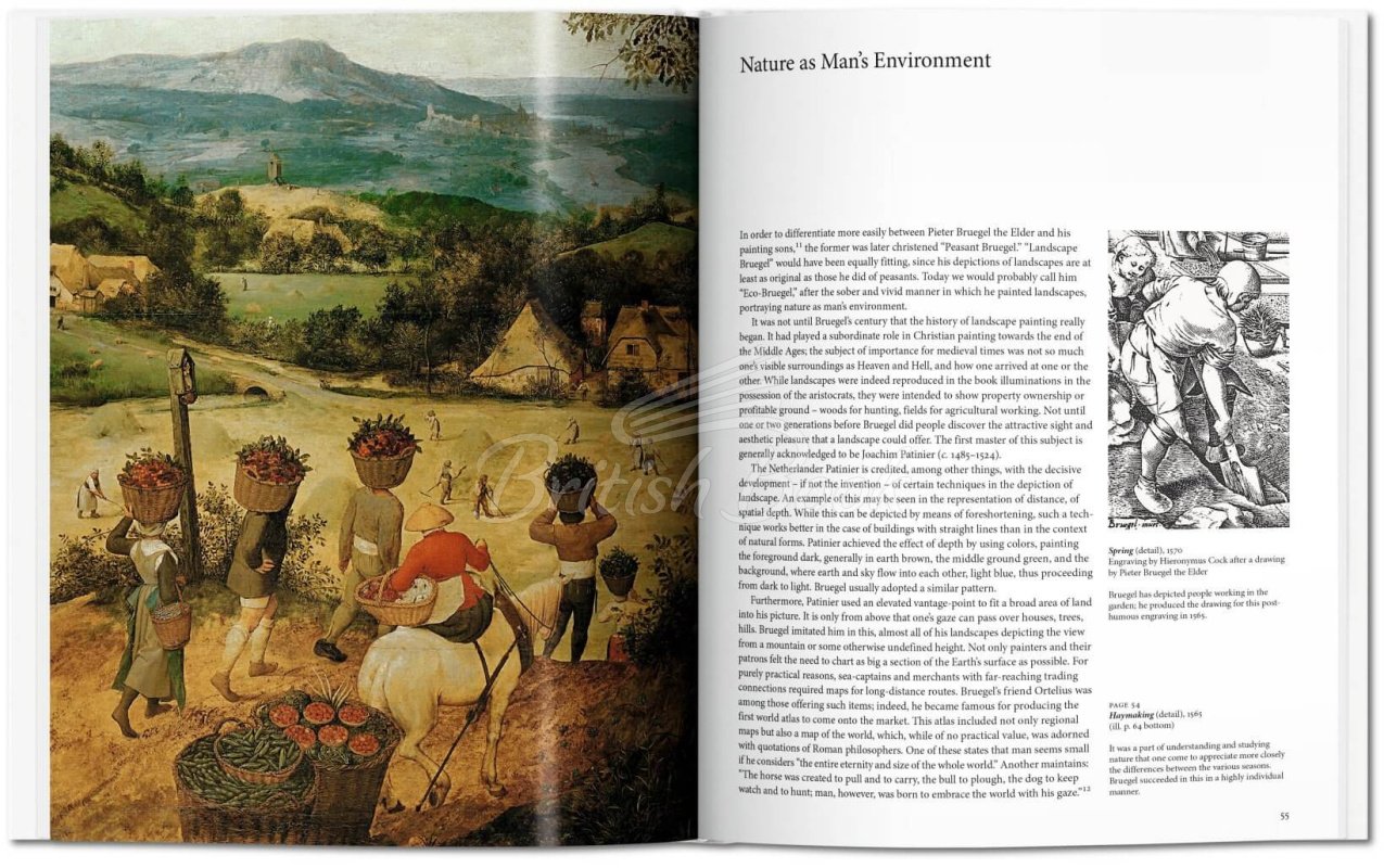 Книга Bruegel изображение 2
