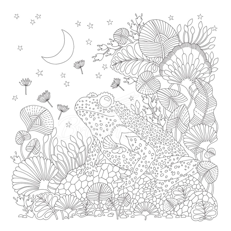 Книга Millie Marotta's Precious Planet зображення 2