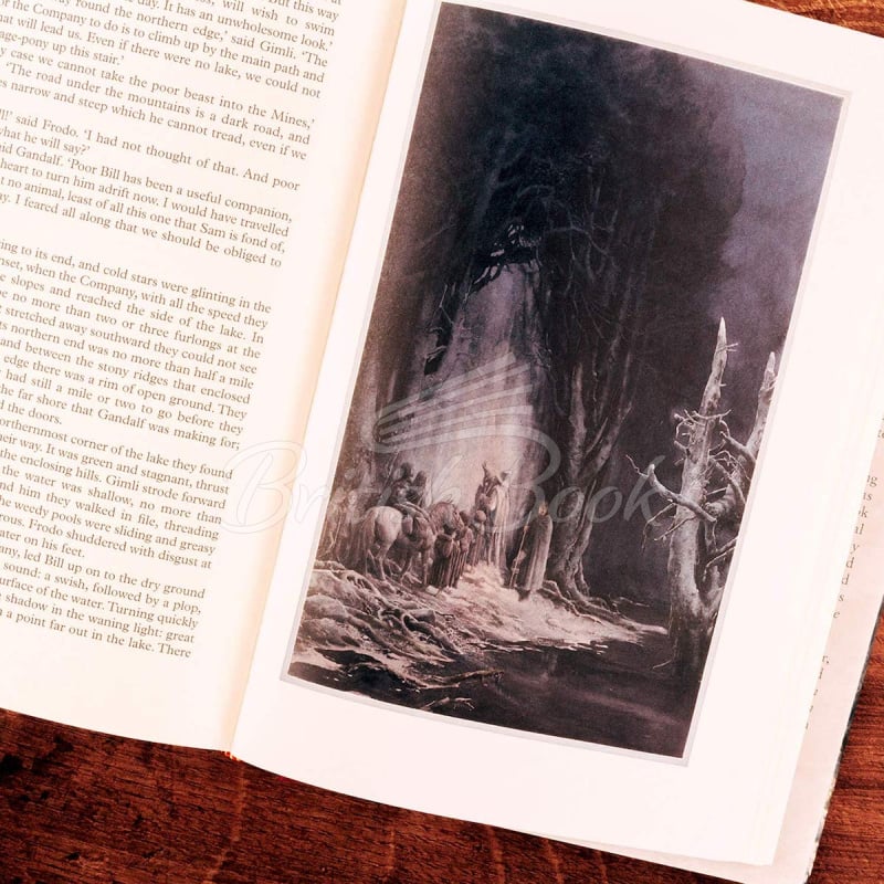 Книга The Fellowship of the Ring (Book 1) (Illustrated Edition) зображення 6