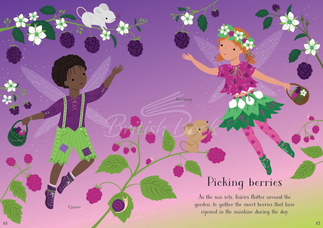 Книга Little Sticker Dolly Dressing: Garden Fairy зображення 4