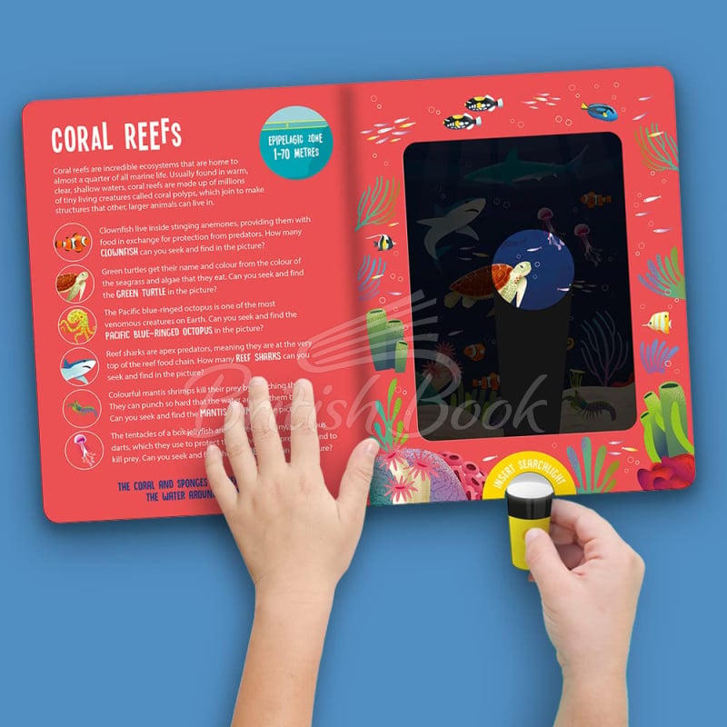 Книга Seek and Find Searchlight: Ocean Animals зображення 1