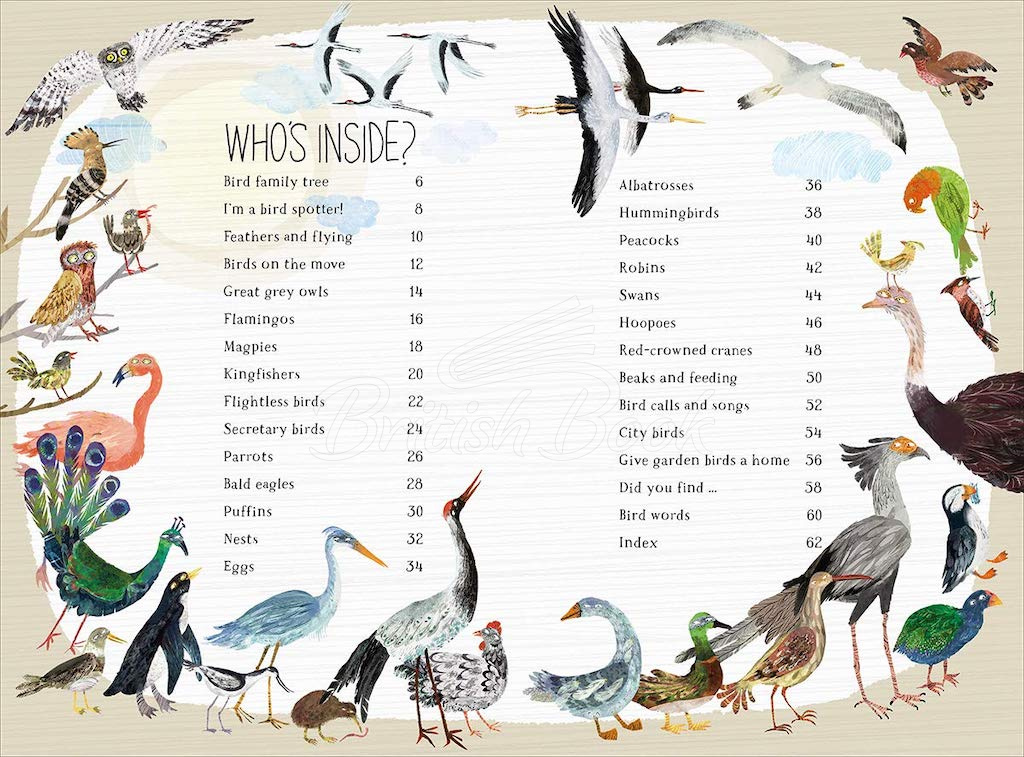 Книга The Big Book of Birds зображення 2