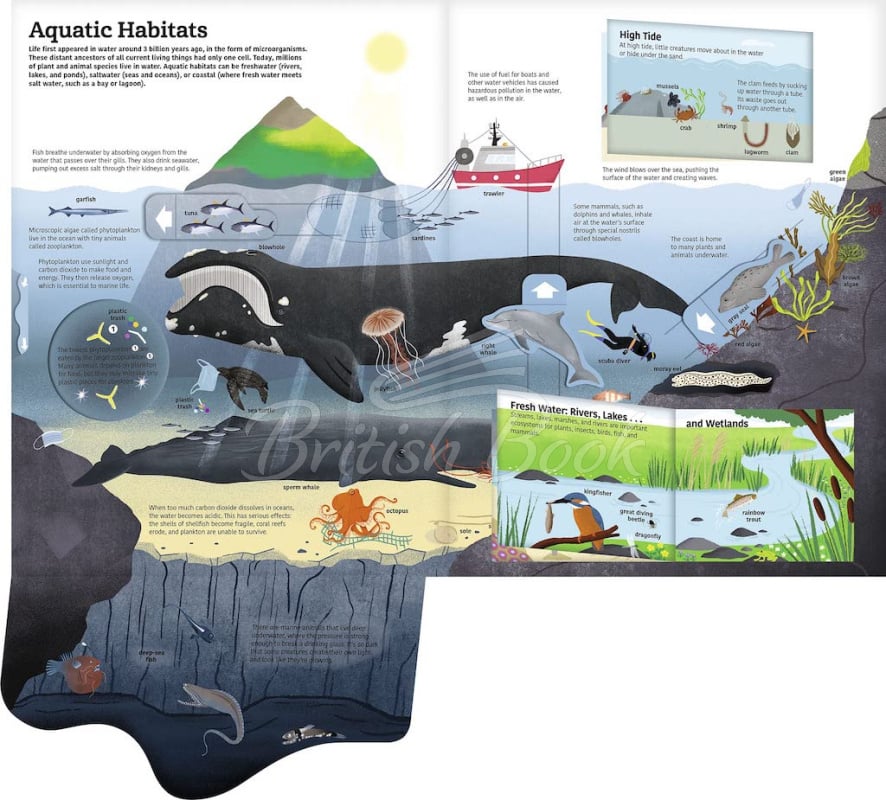 Книга The Ultimate Book of Water зображення 1