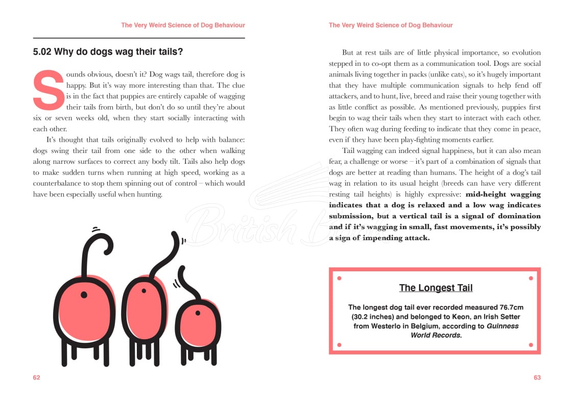Книга Dogology: The Weird and Wonderful Science of Dogs зображення 10
