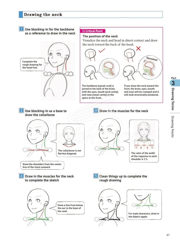 Книга How to Create Manga: Drawing the Human Body зображення 8