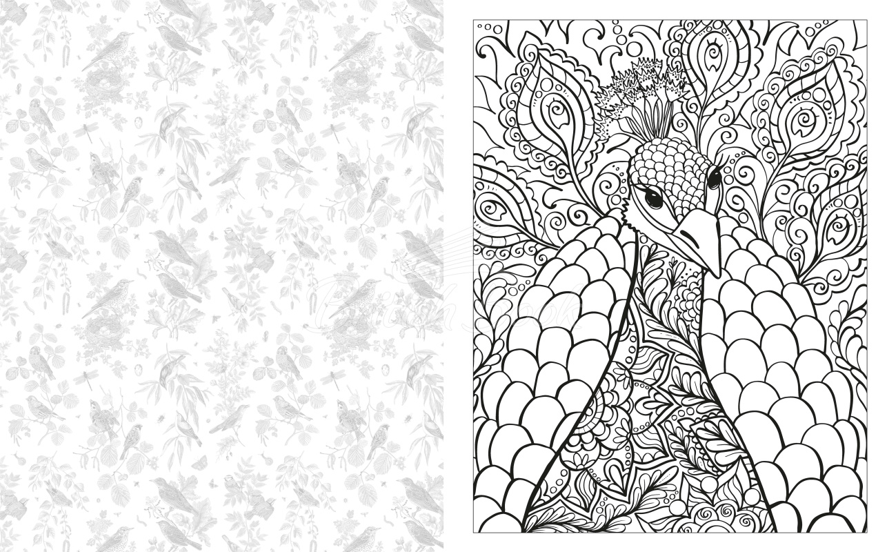 Книга The Birds and Butterflies Colouring Book зображення 1