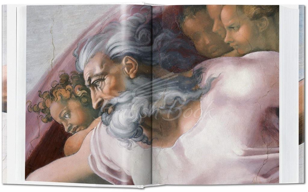 Книга Michelangelo. The Complete Paintings, Sculptures and Architecture изображение 2