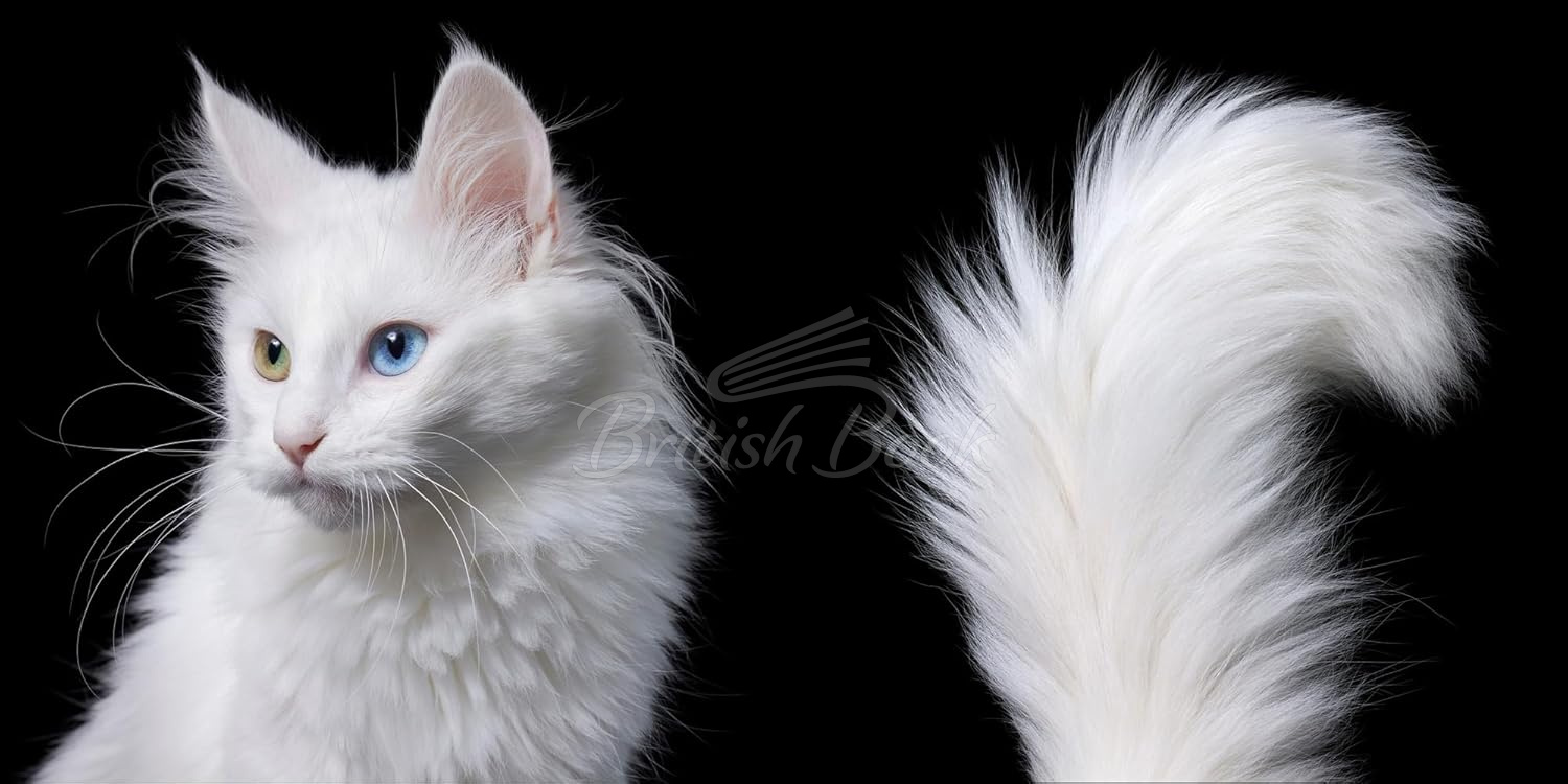 Книга Feline: Photographs изображение 7