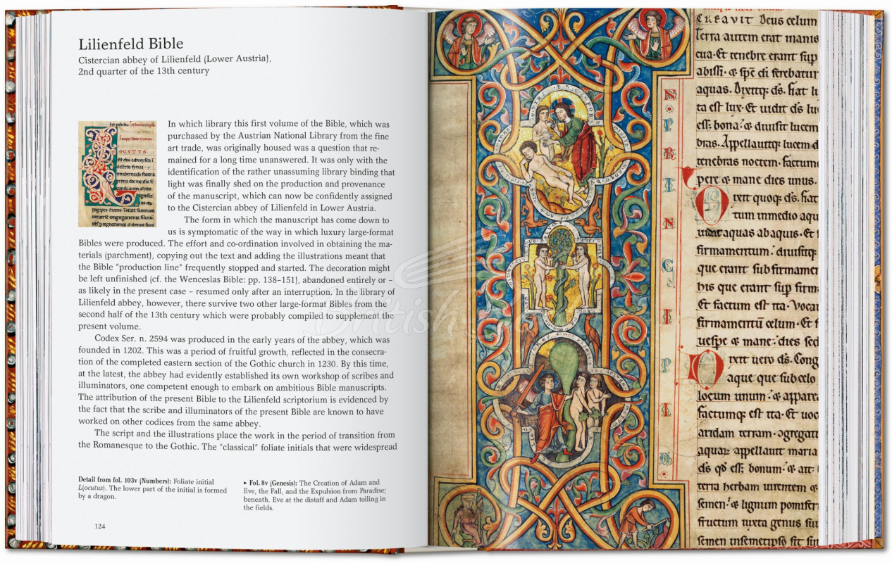Книга The Book of Bibles изображение 3