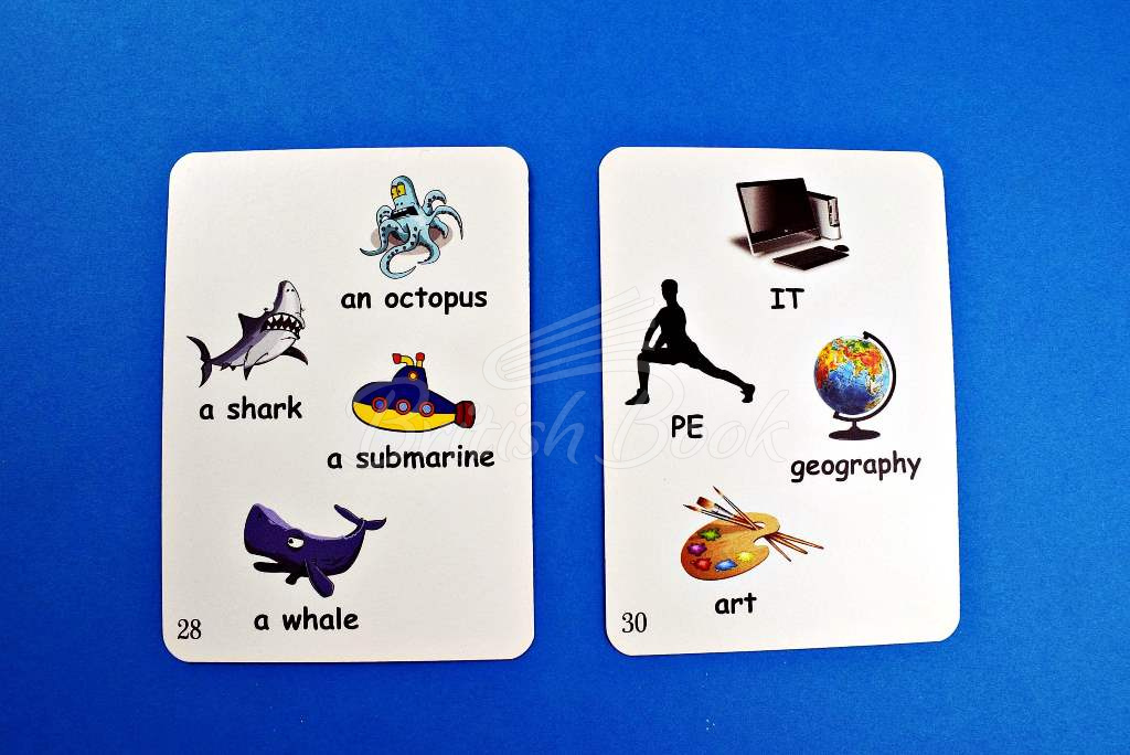 Карточки Fun Card English: XXL English My First 600 Words изображение 6