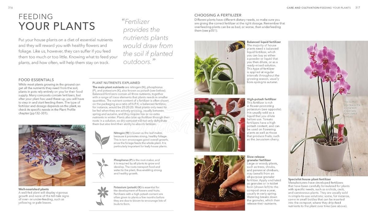 Книга RHS House Plant изображение 7