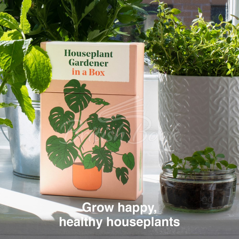 Картки Houseplant Gardener in a Box зображення 1