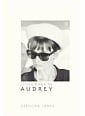 Little Book of Audrey Hepburn
