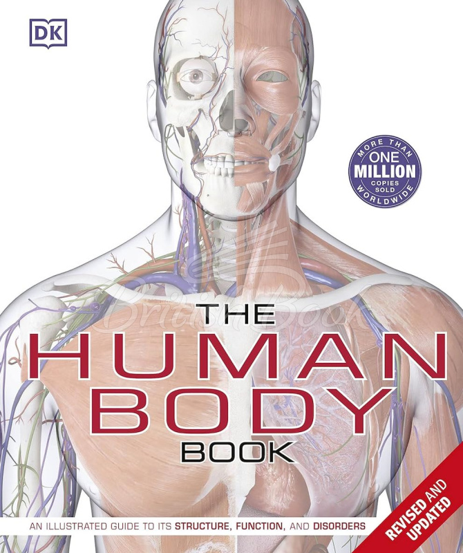 Книга The Human Body Book изображение