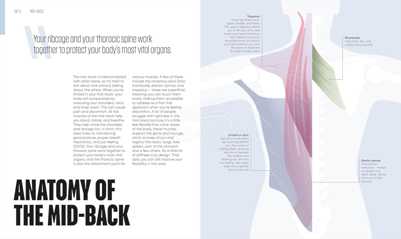 Книга Yoga Fix: Functional Movement for a Pain-Free Body изображение 5