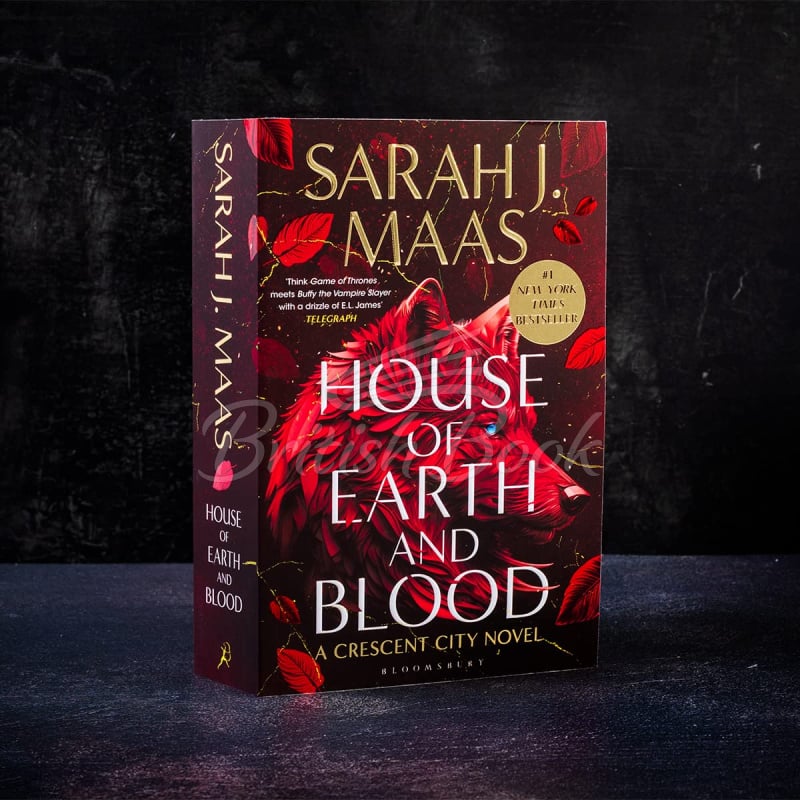 Книга House of Earth and Blood (Book 1) изображение 1