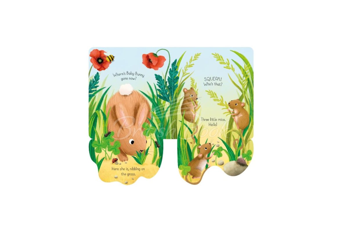 Книга Little Lift and Look: Baby Bunny изображение 3